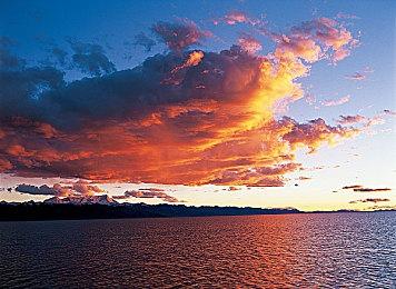 《命运2》下一个联动活动将添加《巫师》系列皮肤